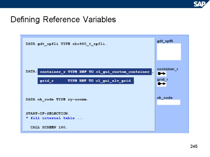 245 Defining Reference Variables